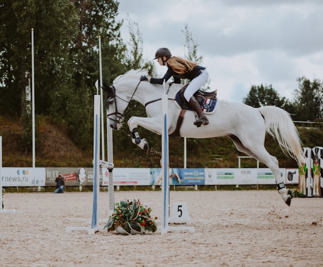 Equestrian Background