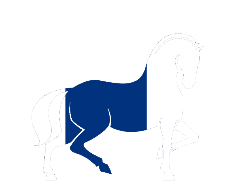 StableGroup Logo